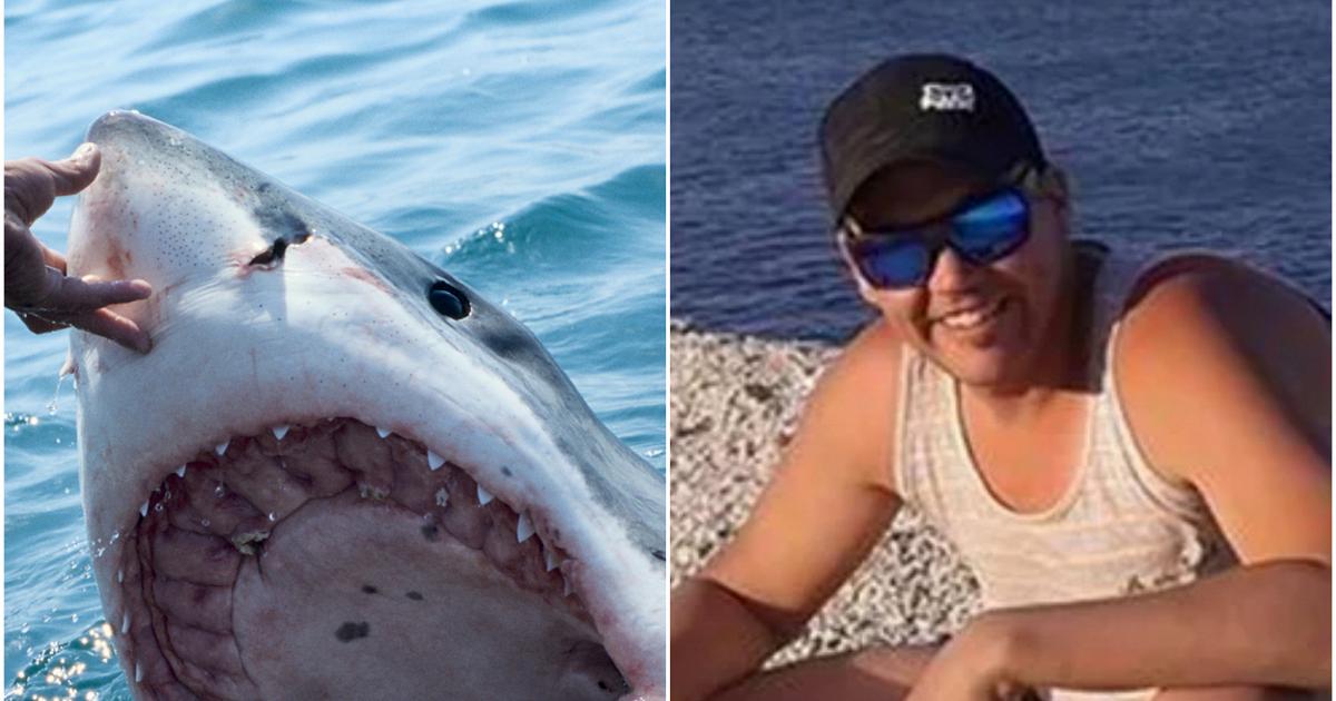 Pescatore scomparso da due settimane, i suoi resti trovati nello stomaco di uno squalo