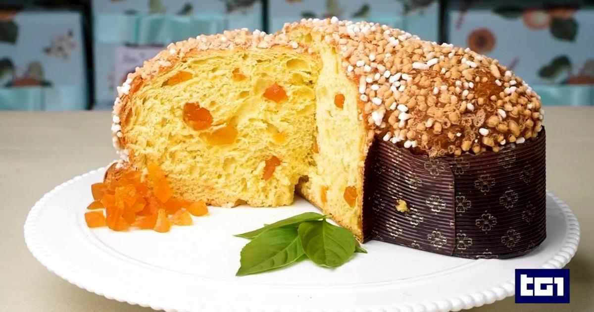 The Easter Colomba, with chocolate, with pistachio, with apricots, everyone has their favorite variant